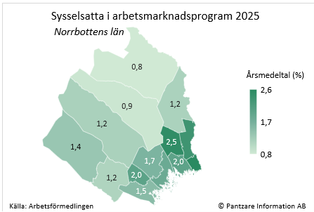 Diagrams bild Sysselsatta i program