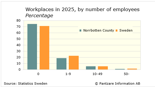 Diagrams bild Workplaces by number of employees