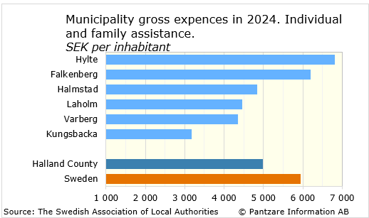 Diagrams bild Municipality gross costs, individual and family 