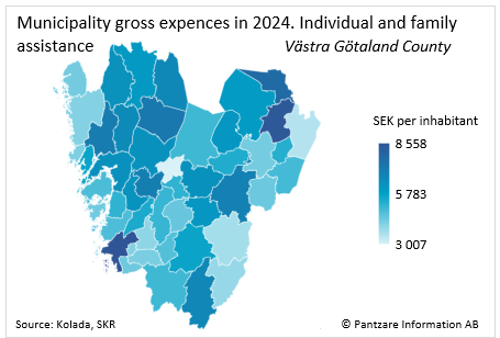 Diagrams bild Municipality gross costs, individual and family 