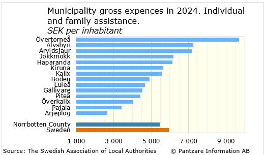 Diagrams bild Municipality gross costs, individual and family 